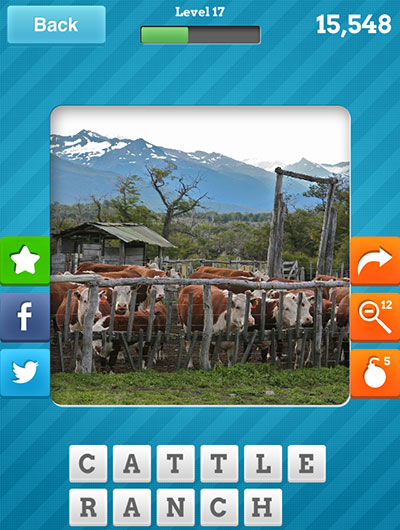  Cattle Ranch 