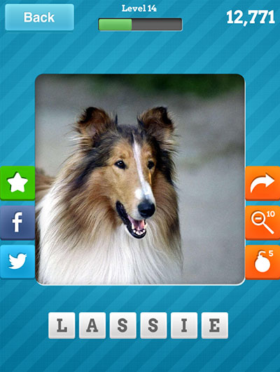  Lassie 