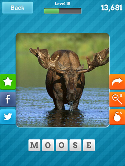  Moose 