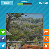  Cattle Ranch 