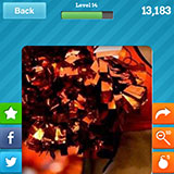  Cheerleader 