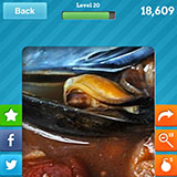  Cioppino 