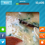  Clam Chowder 