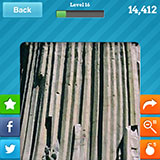  Devils Tower 