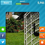  Graceland 