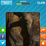  Moose 