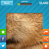  Prairie Dog 