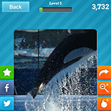  Sea World 