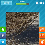  Tumbleweed 