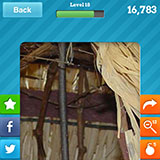  Wigwam 
