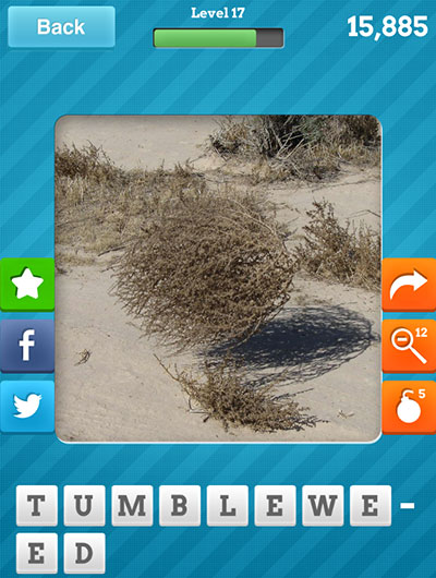  Tumbleweed 