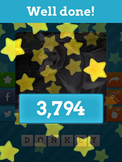  Donkey 