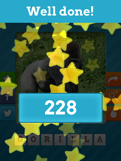  Gorilla 