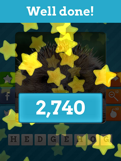 Hedgehog 
