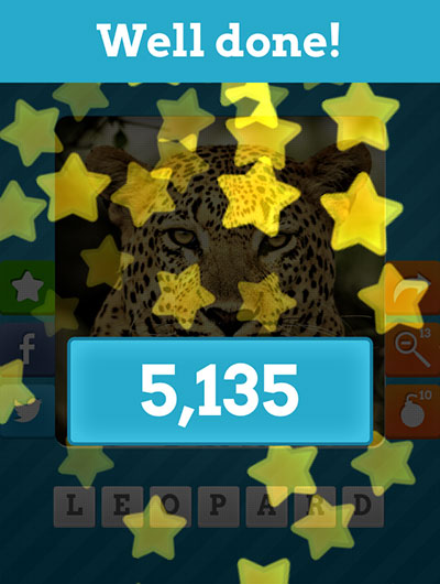  Leopard 