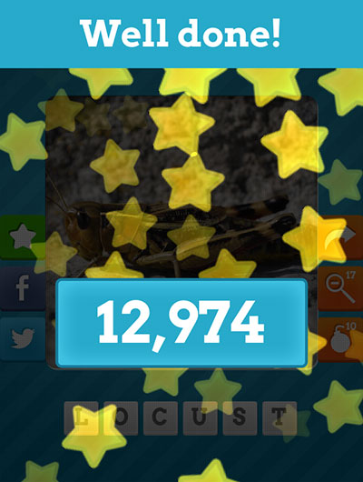  Locust 