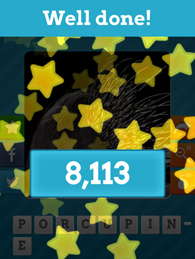  Porcupine 