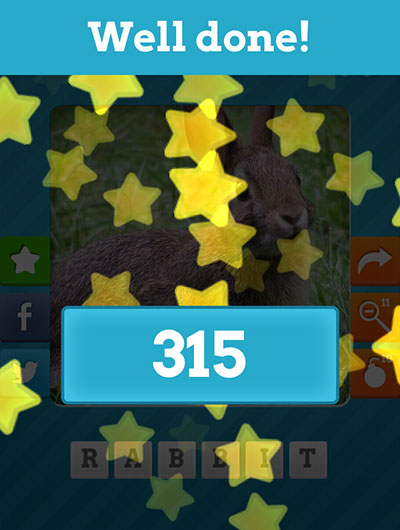  Rabbit 