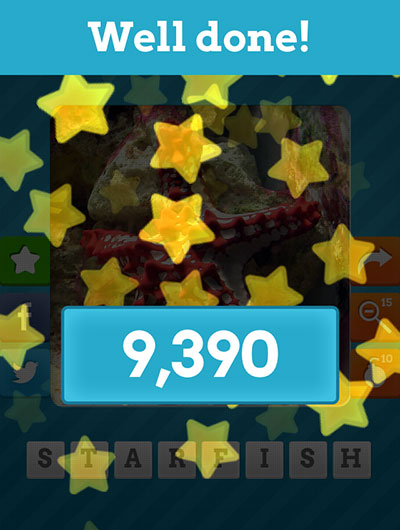  Starfish 