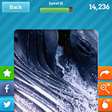  Blue Whale 