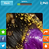  Bumblebee 