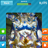  Lobster 