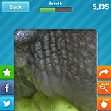  Snail 