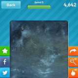  Stingray 
