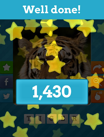  Tiger 