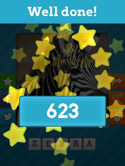  Zebra 