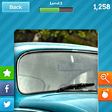  Beetle 