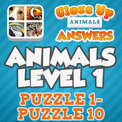 Close Up Animals - Level 1 Answers