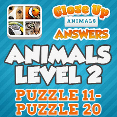 Close Up Animals - Level 2 Answers