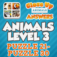 Close Up Animals - Level 3 Answers