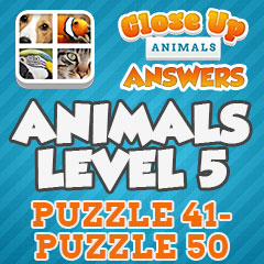 Close Up Animals - Level 5 Answers
