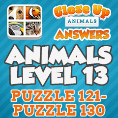 Close Up Animals - Level 13 Answers