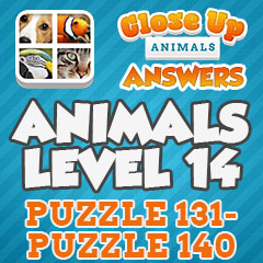 Close Up Animals - Level 14 Answers