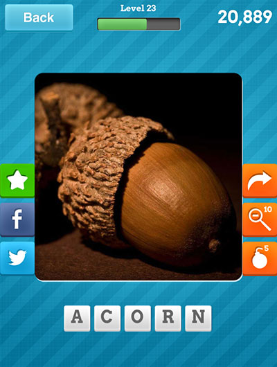  Acorn 