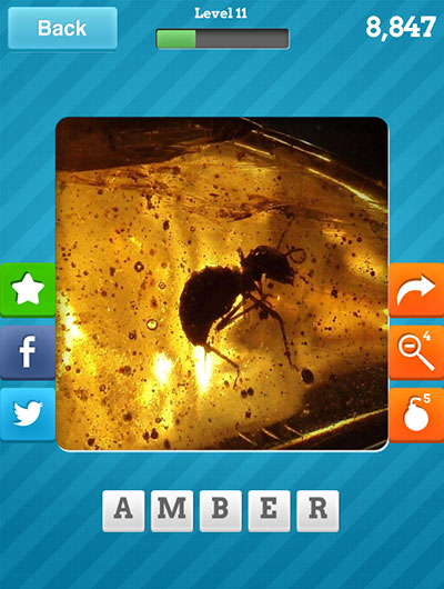  Amber 