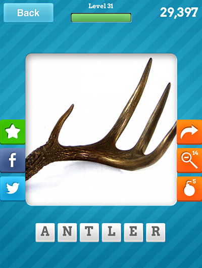  Antler 