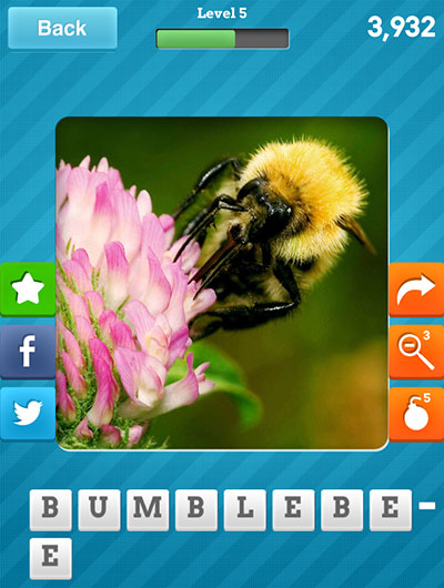  Bumblebee 