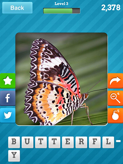  Butterfly 