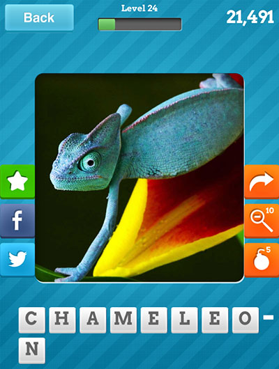  Chameleon 