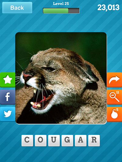  Cougar 