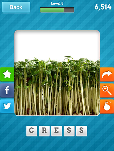  Cress 