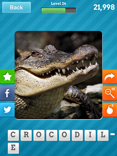  Crocodile 