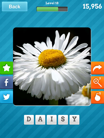  Daisy 