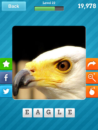  Eagle 