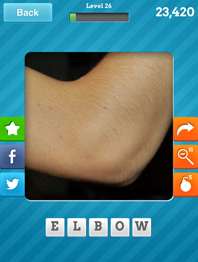  Elbow 