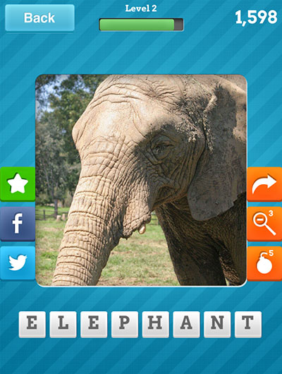  Elephant 